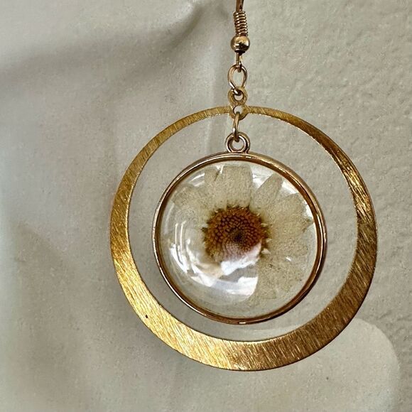 Real Pressed Daisy Resin Earrings in Gold Tone Circles - Picture 3 of 8